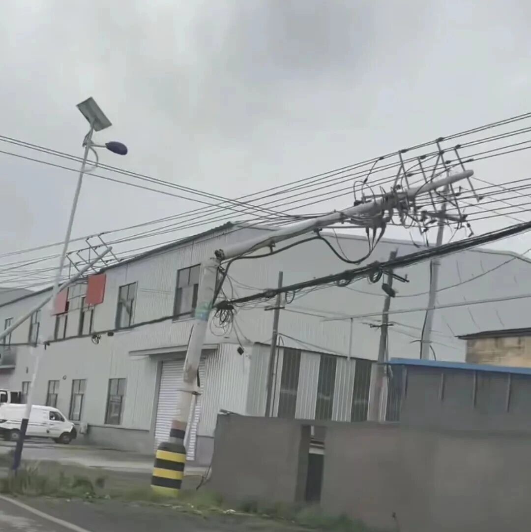 滨州博兴两乡镇出现12级阵风:强对流天气致树木倒伏、电力受损