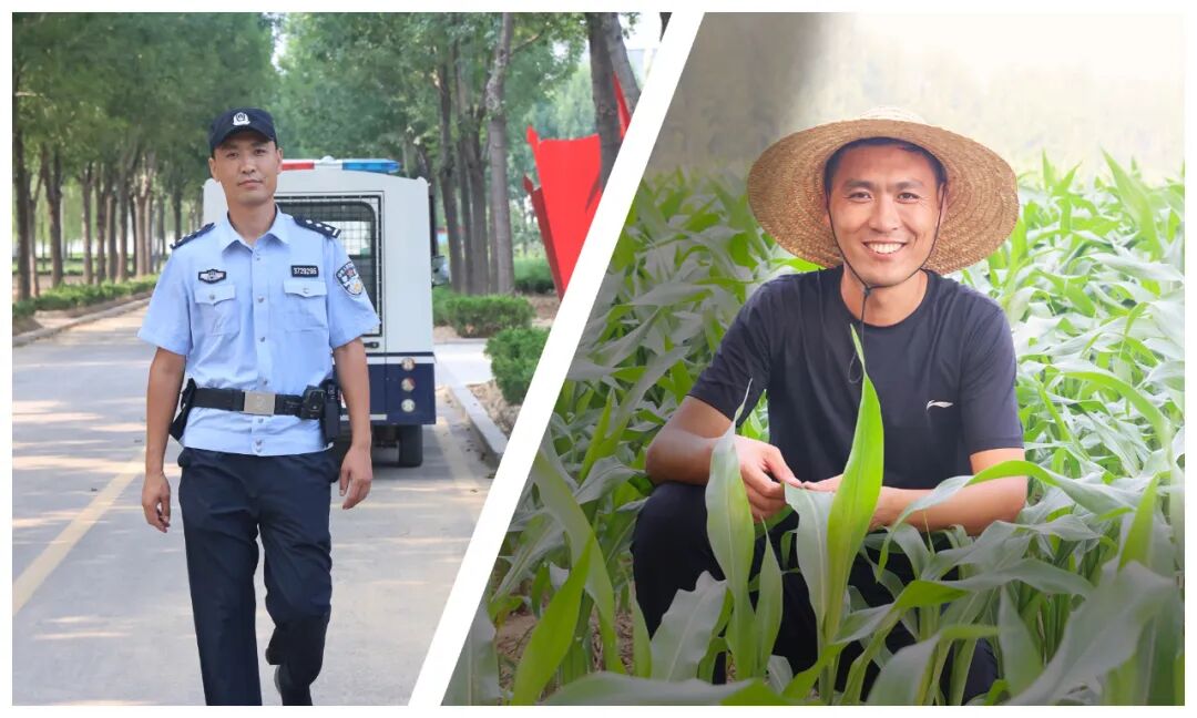 从监管一线到田间地头 山东省鲁北监狱省派第一书记李志群的驻村答卷 - 图片 1