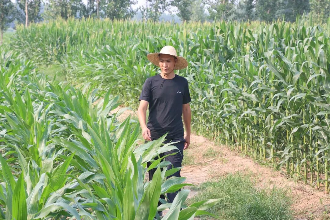 从监管一线到田间地头 山东省鲁北监狱省派第一书记李志群的驻村答卷 - 图片 19